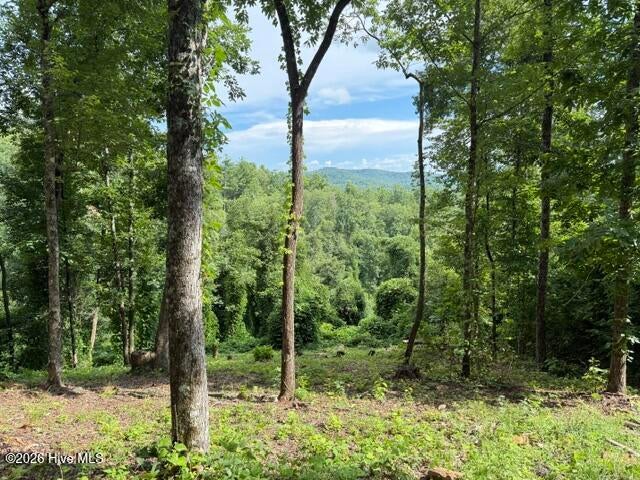 Photo of 25 Bryson Creek Drive, Murphy, NC 28906 (MLS # 100589582)