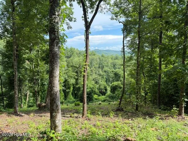 Lot 25 Bryson Creek Drive