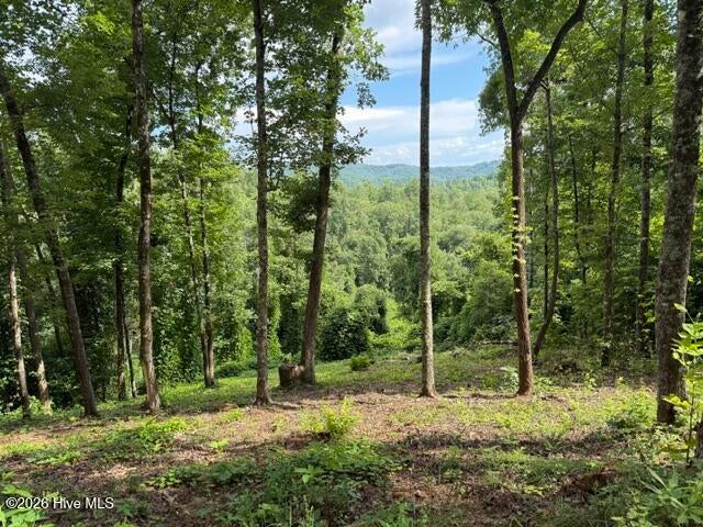Mountain View Lot