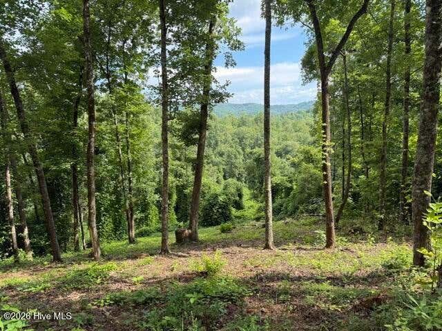 Photo of 25 Bryson Creek Drive, Murphy, NC 28906 (MLS # 100589582)