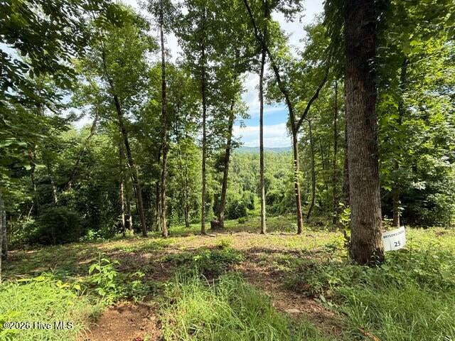 Mountain View Lot