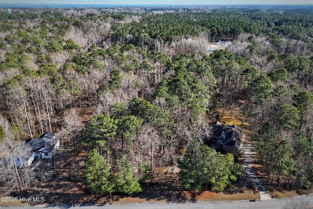 Photo of 205 Taberna Circle, New Bern, NC 28562 (MLS # 100487031)