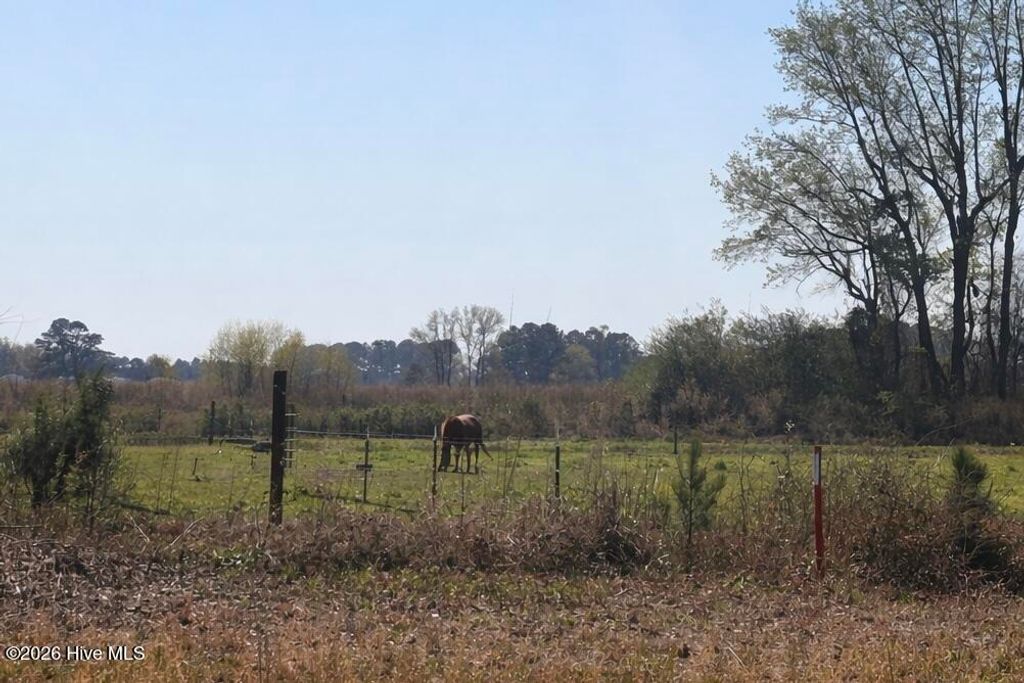 Photo of 284 Eastwood Drive, Wallace, NC 28466 (MLS # 100561834)