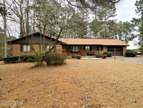 Photo of 185 Firetree Lane, Seven Lakes, NC 27376 (MLS # 100559608)