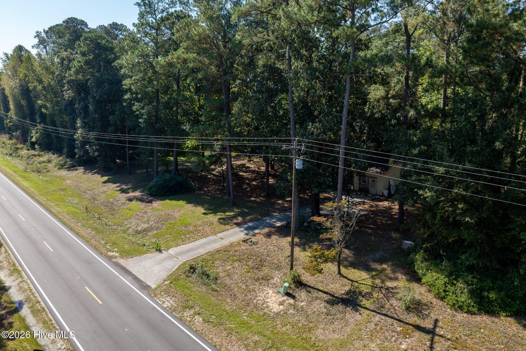 Photo of 245 Tracy Brown Road, Magnolia, NC 28453 (MLS # 100611164)