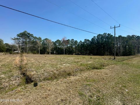 Tiny photo for 155 Edens Lane, Hampstead, NC 28443 (MLS # 100562237)