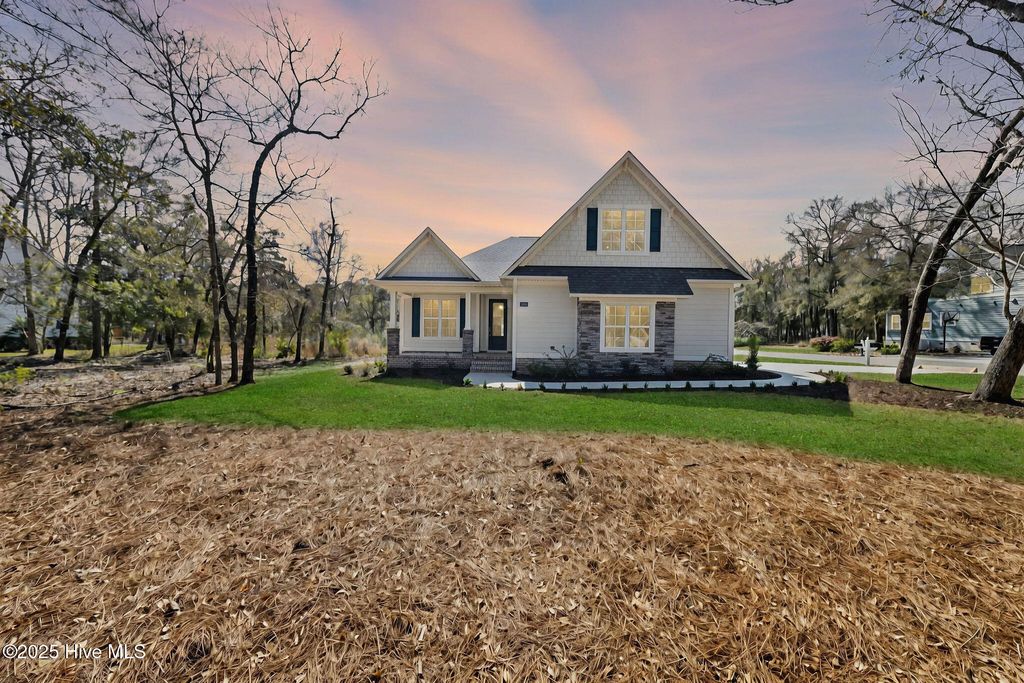 Photo of 1896 Healing Water Lane SW, Supply, NC 28462 (MLS # 100488997)