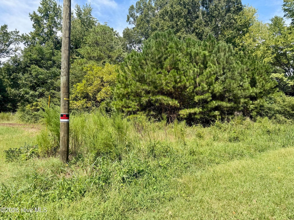 Photo of 000 Mt Zion Church Road, Nashville, NC 27856 (MLS # 100601738)