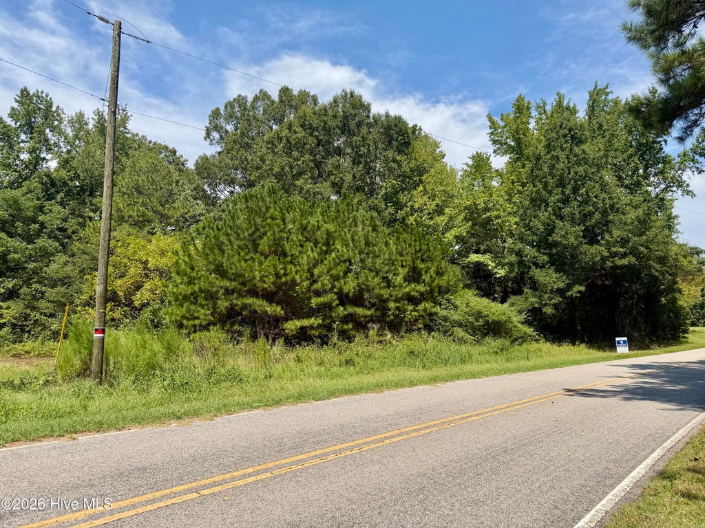 Photo of 000 Mt Zion Church Road, Nashville, NC 27856 (MLS # 100601738)