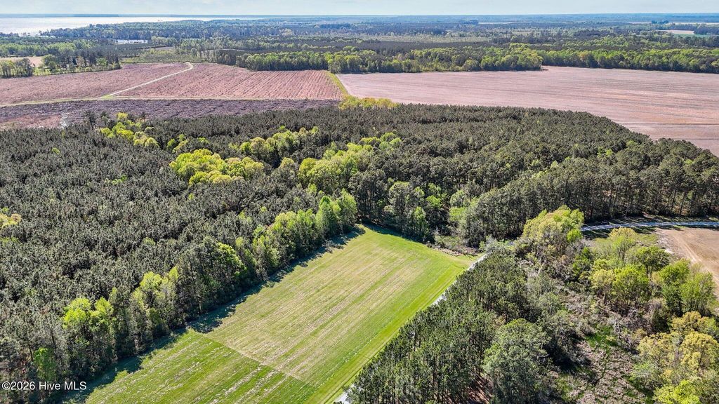 Photo of 46 N Creek Drive, Belhaven, NC 27810 (MLS # 100554954)