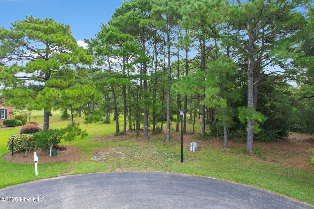 Photo of 2815 Barberry Court SE, Southport, NC 28461 (MLS # 100527870)