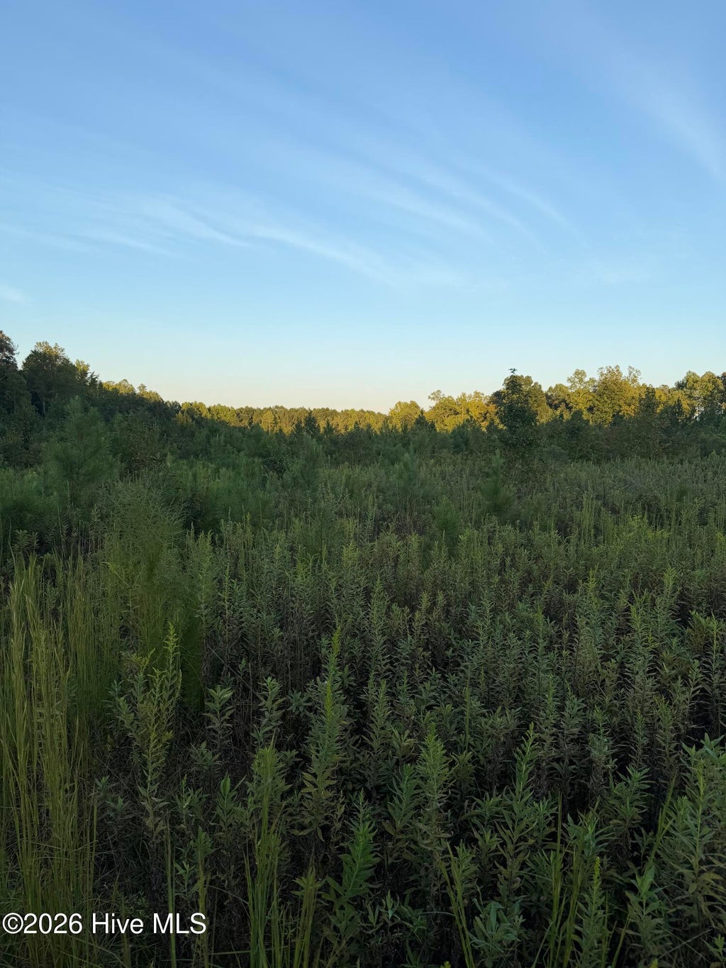 Photo of 28 Hope Creek Trail, Spring Hope, NC 27882 (MLS # 100604382)