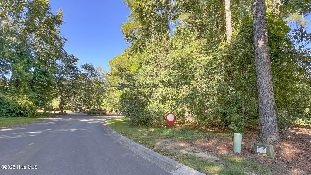 Photo of 111 Cherry Laurel Drive, Wallace, NC 28466 (MLS # 100529052)