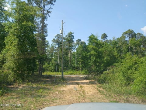 Vacant Land For Sale - 1570 Hephzibah - Mcbean Road<br/> Hephzibah, GA 30815