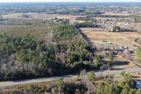 Vacant Land For Sale - Carolina 410<br/> Bladenboro, NC 28320