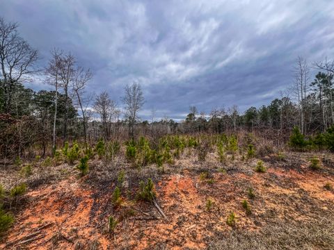 Vacant Land For Sale - 1080 Serenity Pointe Drive<br/> Lincolnton, GA 30817