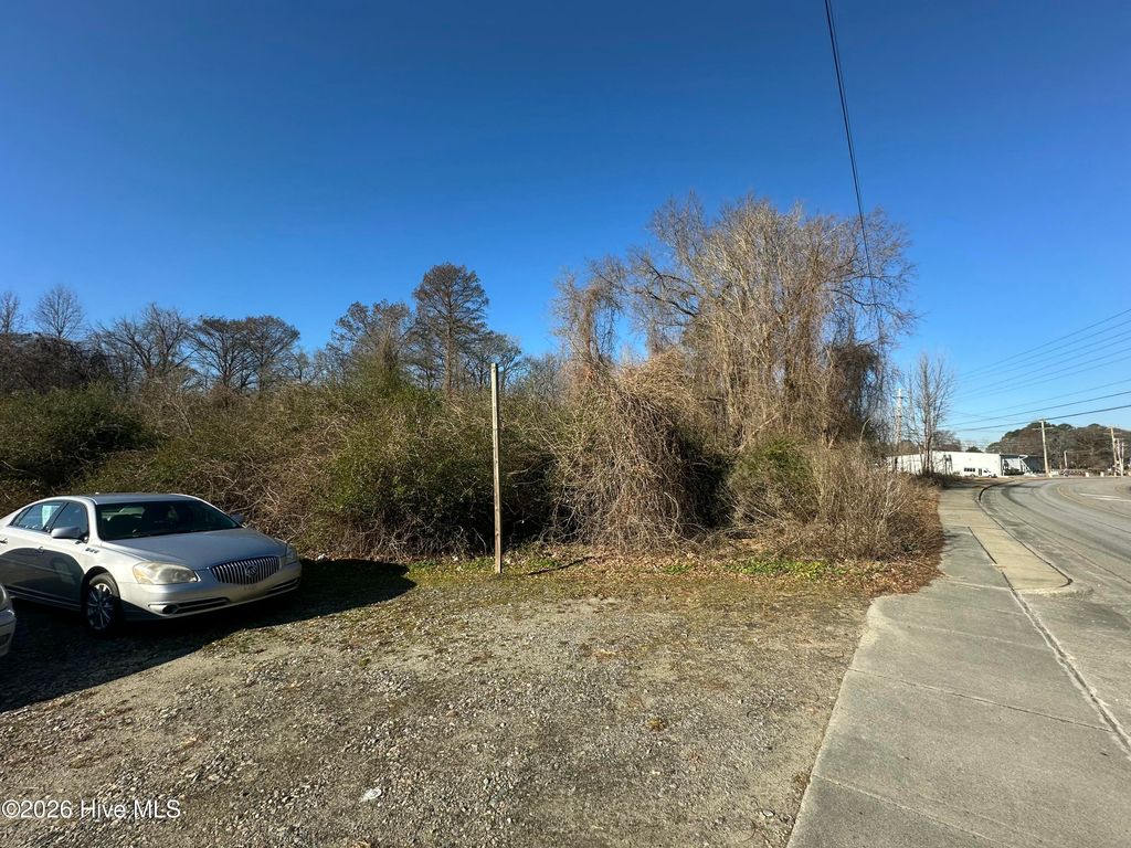 Photo of 607 S King Street, Windsor, NC 27983 (MLS # 100552576)