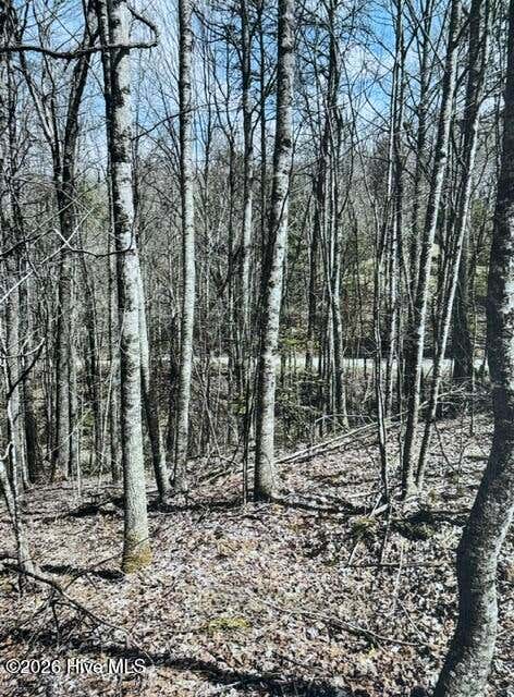 Vacant Land For Sale - 11A 11B Hidden Lakes Road<br/> Macon County, Topton, NC 28781