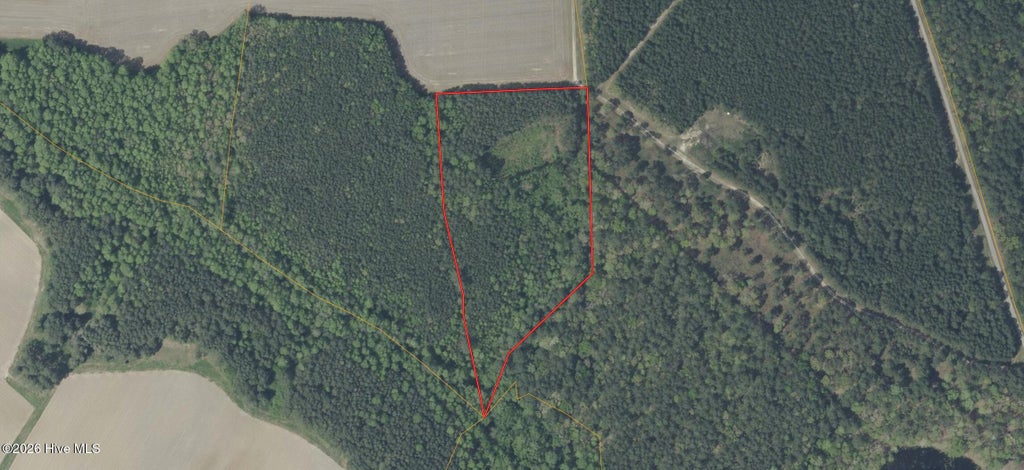 Photo of 141 Tall Cotton Road, Murfreesboro, NC 27855 (MLS # 100601654)