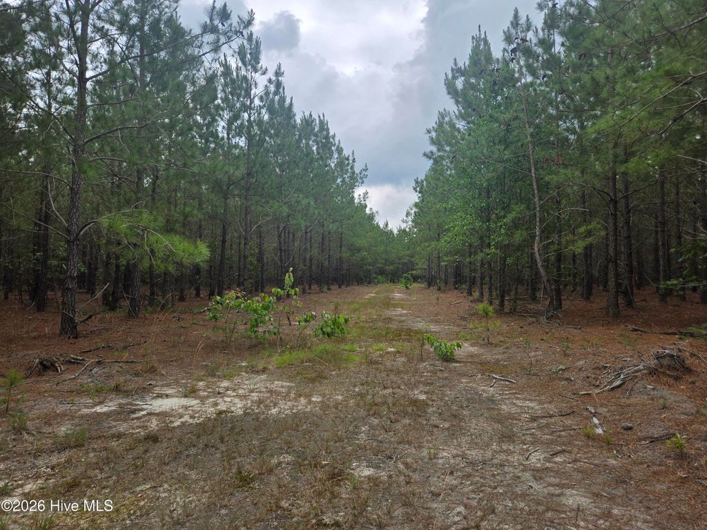Photo of 14 Belford Church Road, Jackson Springs, NC 27281 (MLS # 100578934)