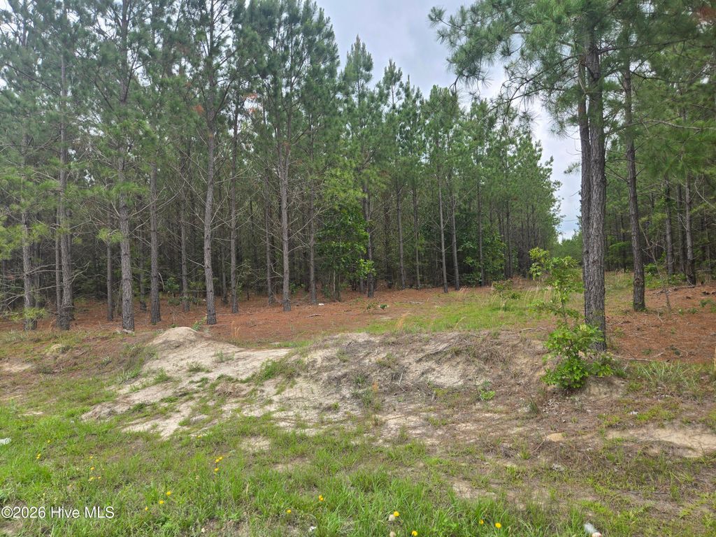 Photo of 14 Belford Church Road, Jackson Springs, NC 27281 (MLS # 100578934)