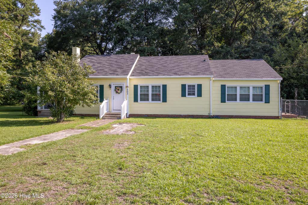 Photo of 203 Willow Road, Clinton, NC 28328 (MLS # 100596853)