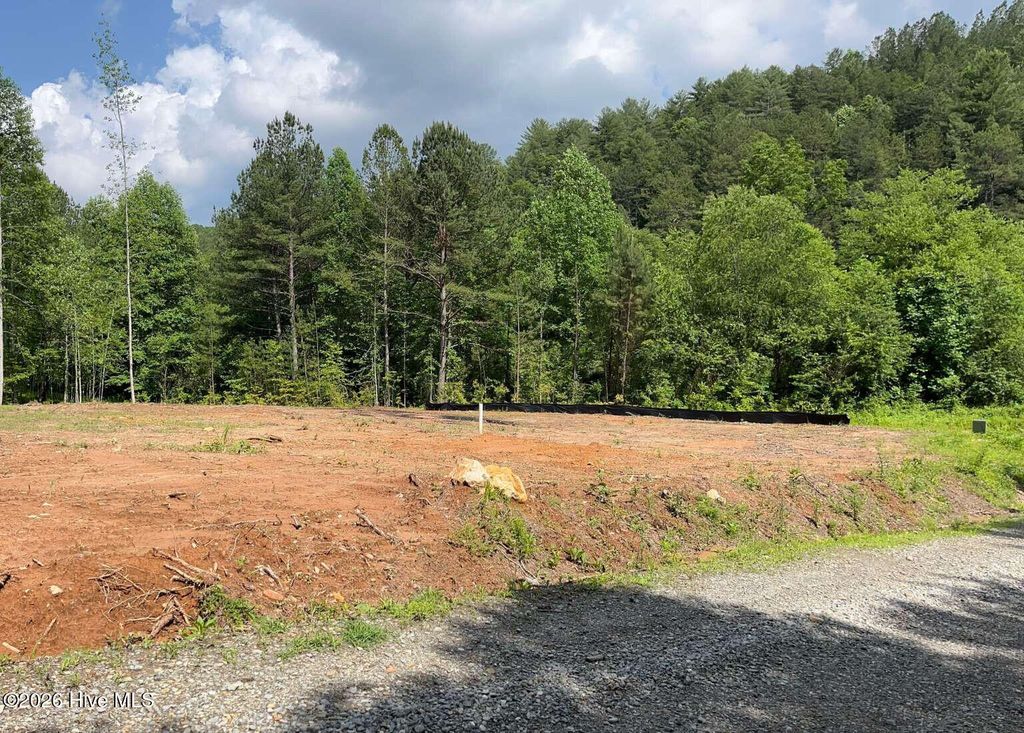 Photo of 502 Landing Drive, Murphy, NC 28906 (MLS # 100578182)