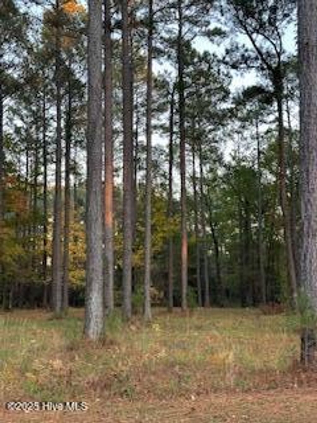 Photo of 95 Corrolla Loop Road, Oriental, NC 28571 (MLS # 100494939)