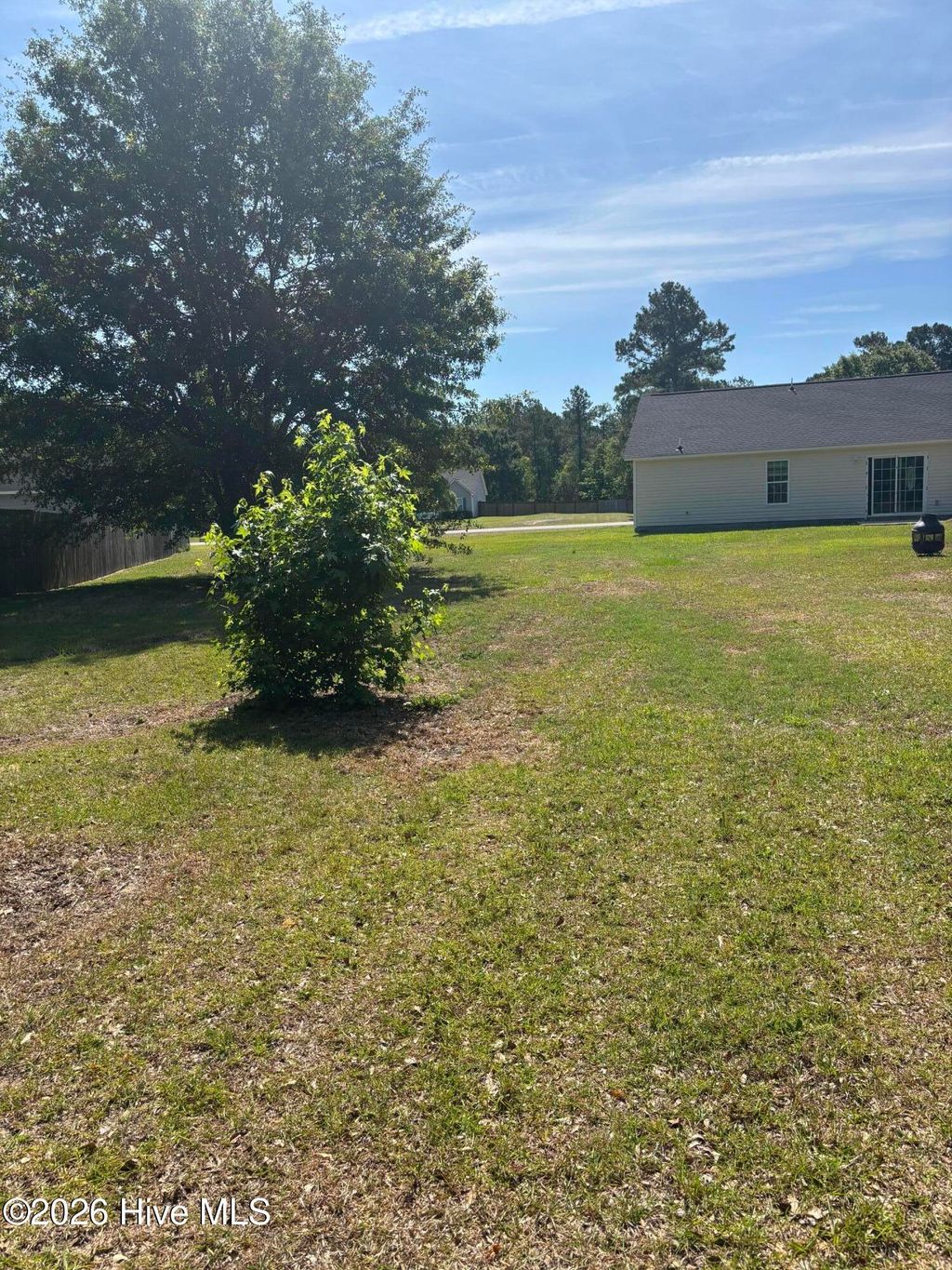 Photo of 158 Ashbury Park Lane, Richlands, NC 28574 (MLS # 100574962)