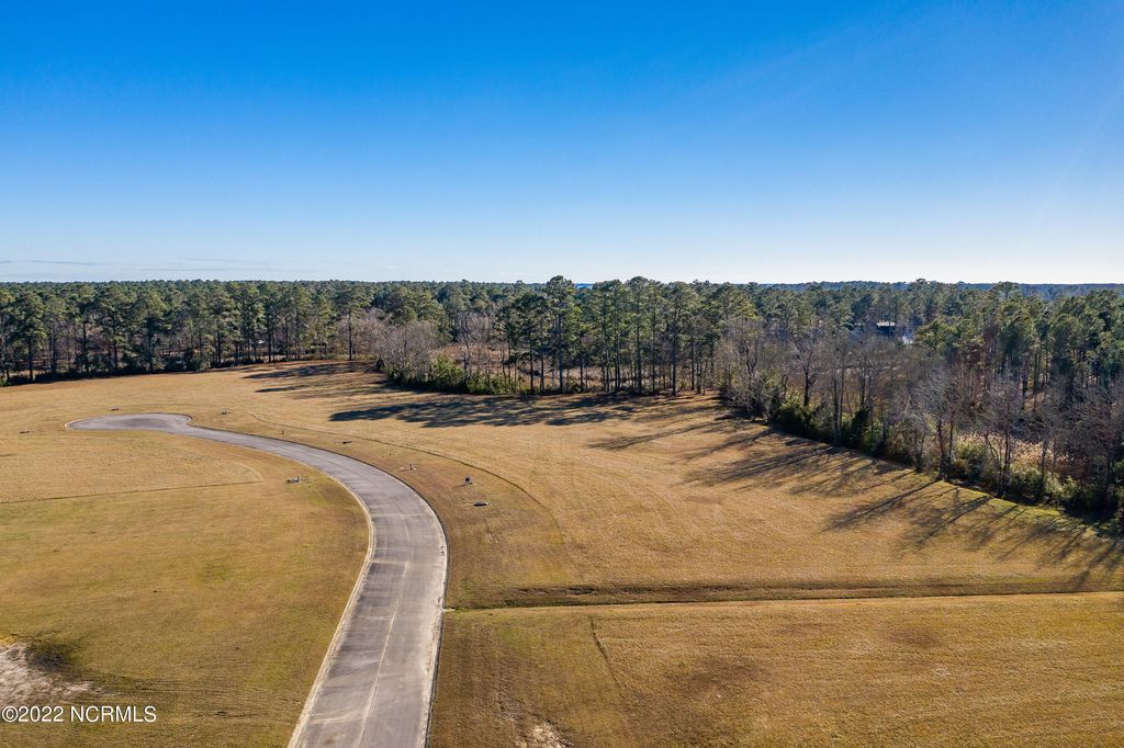 Photo of 70 Davis Field Court, Oriental, NC 28571 (MLS # 100375130)