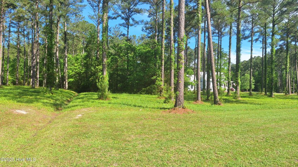 Photo of 156 Dawson Creek Boulevard, Oriental, NC 28571 (MLS # 100543331)