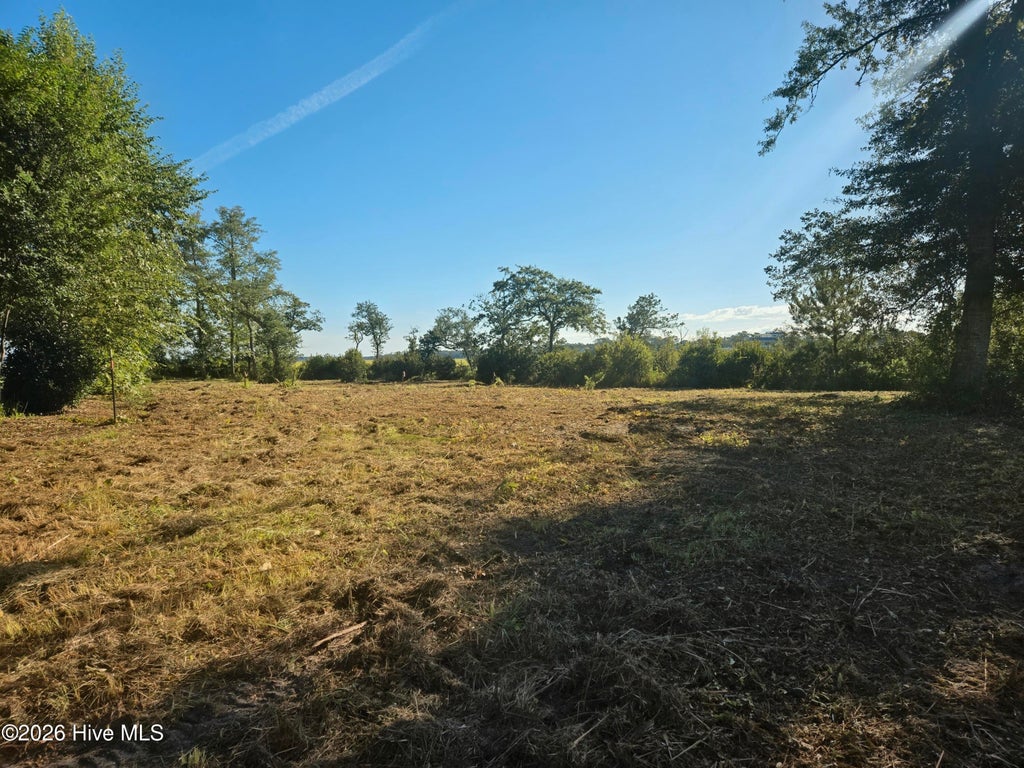 Photo of 1218 Woods Court, Morehead City, NC 28557 (MLS # 100601047)