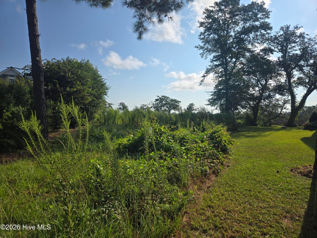 Photo of 1218 Woods Court, Morehead City, NC 28557 (MLS # 100601047)