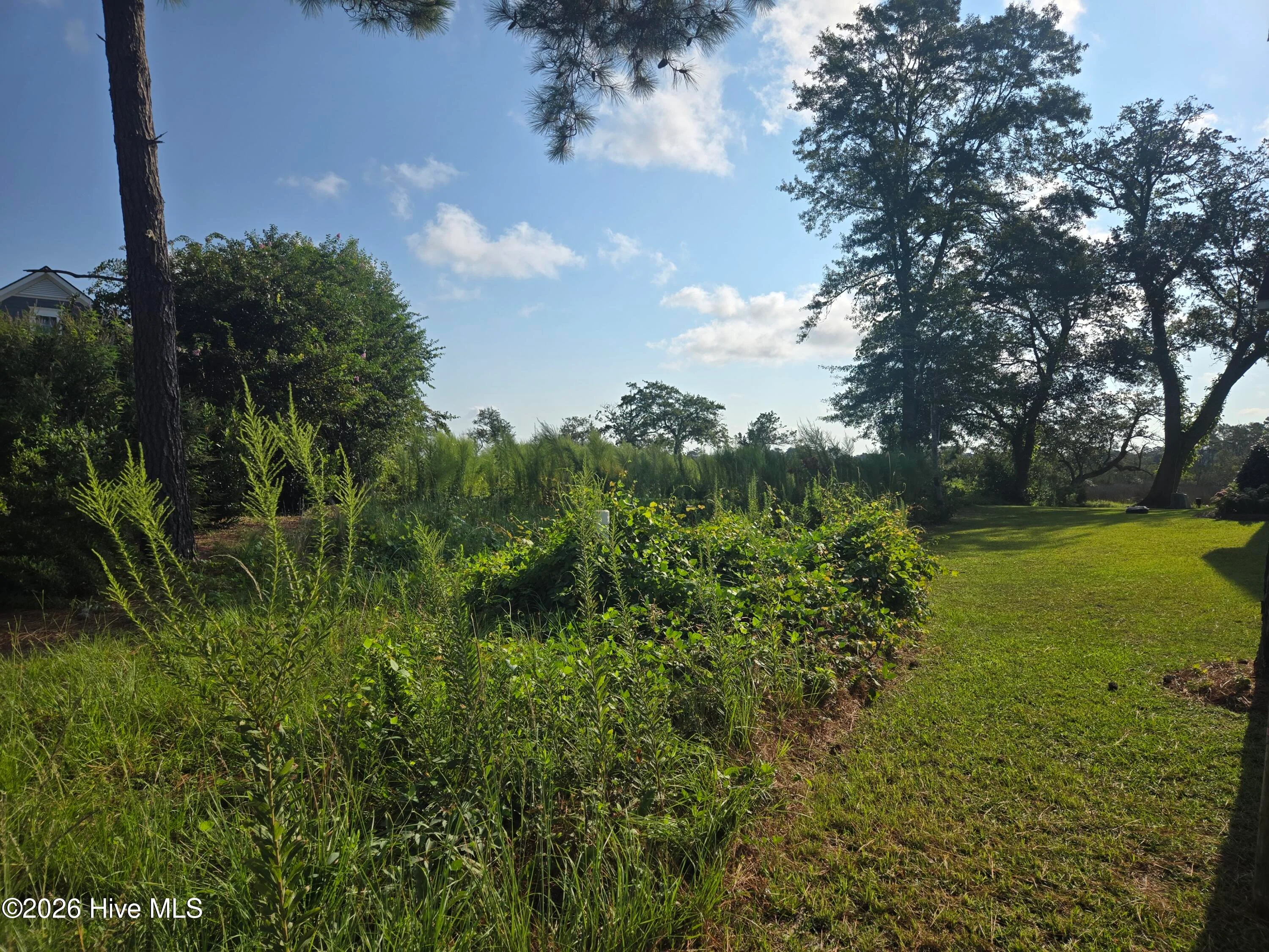 1218 Woods Court