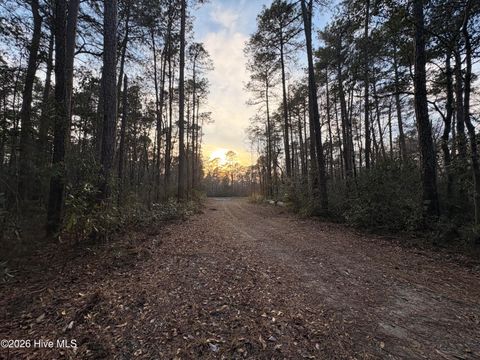 Photo of 398 Pelham Road, Willard, NC 28478 (MLS # 100568534)