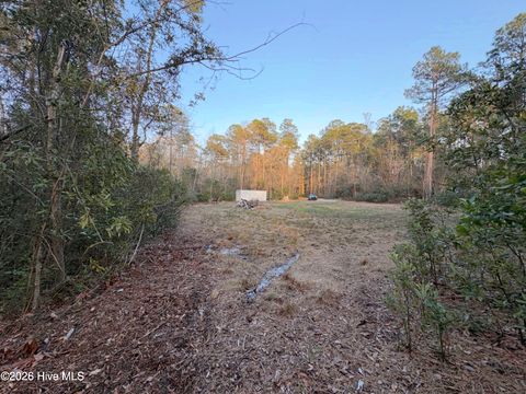 Tiny photo for 398 Pelham Road, Willard, NC 28478 (MLS # 100568534)