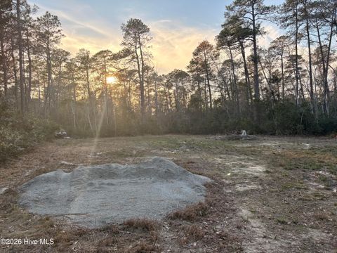 Tiny photo for 398 Pelham Road, Willard, NC 28478 (MLS # 100568534)