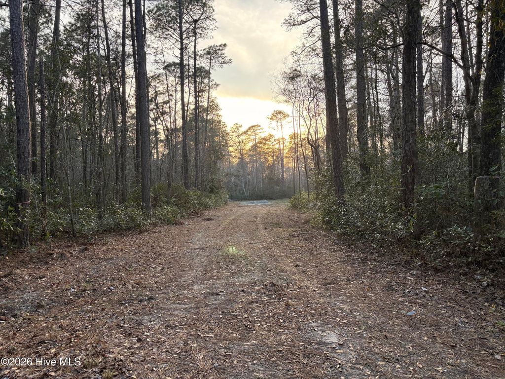 Photo of 398 Pelham Road, Willard, NC 28478 (MLS # 100568534)