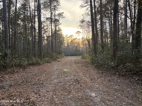 Tiny photo for 398 Pelham Road, Willard, NC 28478 (MLS # 100568534)