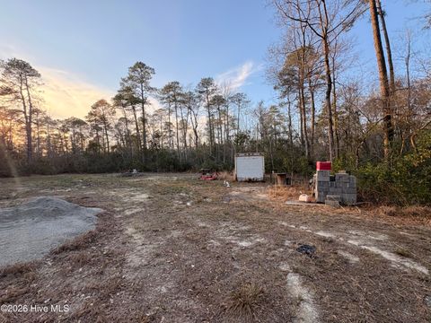 Tiny photo for 398 Pelham Road, Willard, NC 28478 (MLS # 100568534)