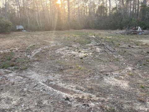 Tiny photo for 398 Pelham Road, Willard, NC 28478 (MLS # 100568534)