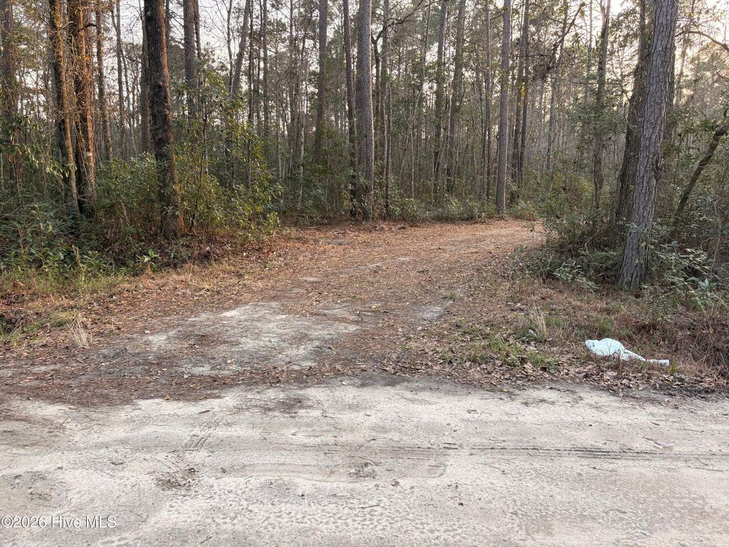 Photo of 398 Pelham Road, Willard, NC 28478 (MLS # 100568534)