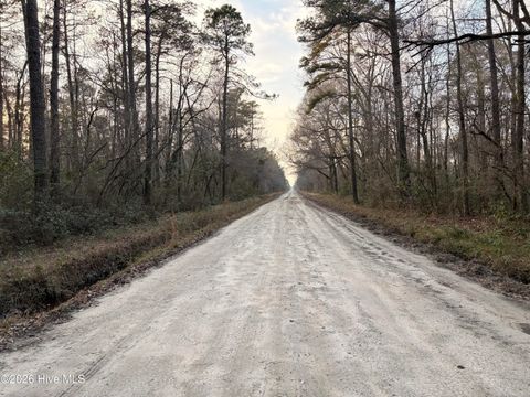 Tiny photo for 398 Pelham Road, Willard, NC 28478 (MLS # 100568534)