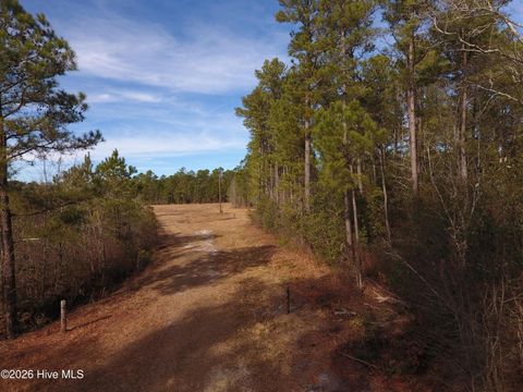 Vacant Land For Sale - Near 8790 Green Swamp Road<br/> Bolton, NC 28423