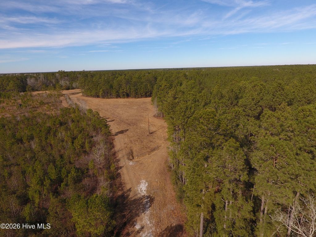 Photo of 0 Near 8790 Green Swamp Road S, Bolton, NC 28423 (MLS # 100549297)