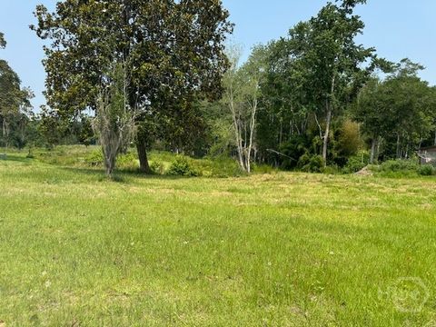 Vacant Land For Sale - Us Hwy 17 Highway<br/> Mcintosh County, Townsend, GA 31331