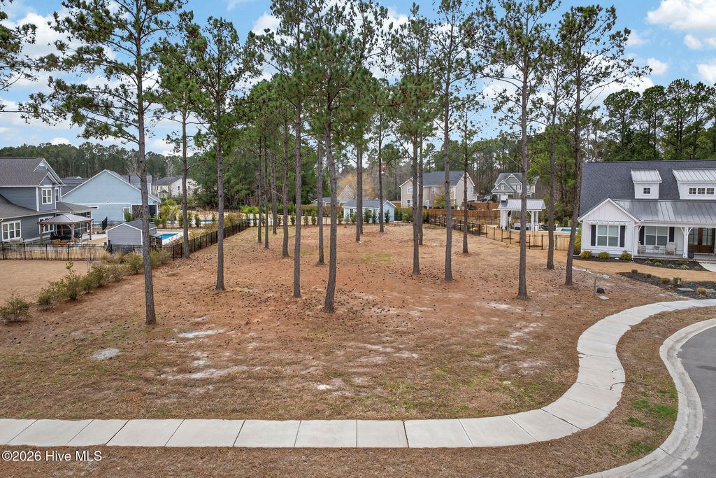 Photo of 284 Bluenose Lane, Hampstead, NC 28443 (MLS # 100557912)