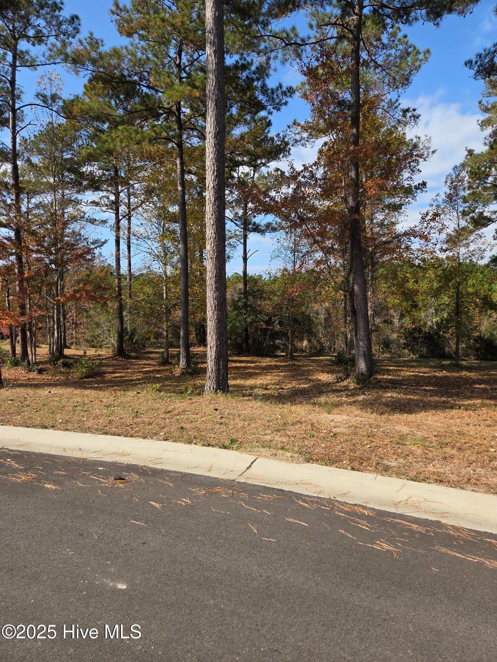Photo of 7475 Donegal Circle SW, Sunset Beach, NC 28468 (MLS # 100541967)