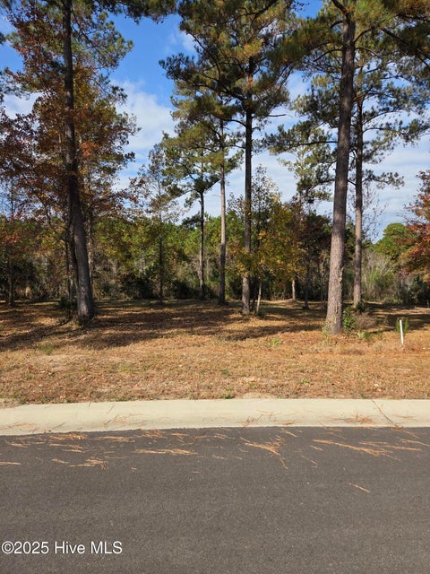 Vacant Land For Sale - 7475 Donegal Circle<br/> Sunset Beach, NC 28468