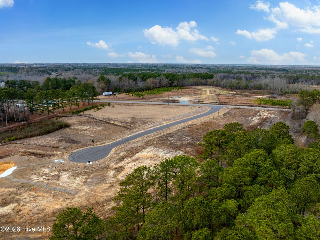 Photo of 28 Stellars Sea Court, Benson, NC 27504 (MLS # 100543448)